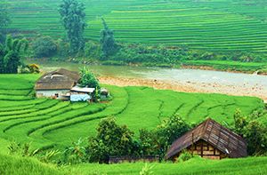 Sapa - Randonnée Aux Villages Cat Cat, Y Linh Ho, Lao Chai, Ta Van - Chez Lhabitant (Pd ; Déj; Dîner)