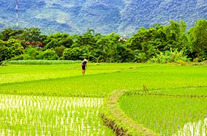 Hanoi - Mai Chau (160km - 3h30 En Voiture) (Pd ; Déj ; Dîner)