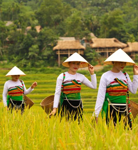 Itinéraire véritable Vietnam trois semaines 21 Jours 20 Nuits