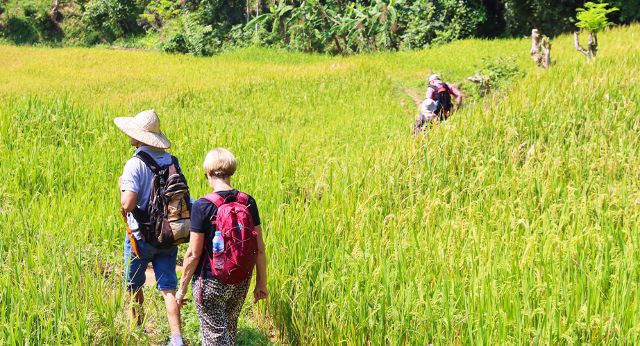 Randonnée dans la vallée de Mai Chau