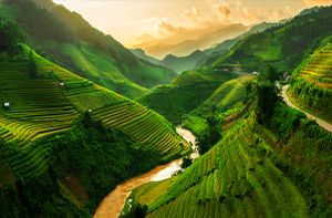 Village Ta Van - Giang Ta Chai - Sapa - Hanoi | 330km - 5h30 En Bus (Pd)