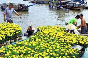 Can Tho - Cai Rang - Chau Doc (Pd ; Dj) (120 Km – 3h00 De Route)