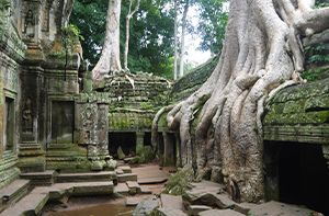 Temples De Roluos - Ta Prohm - Ta Keo - Preah Khan - Thommanon (Pd ; Dj)
