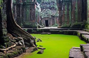 Siem Reap – Départ (Pd)