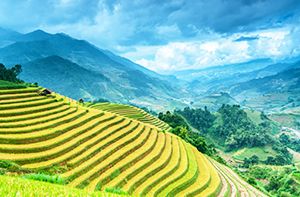 Village Ta Van - Giang Ta Chai - Sapa - Hanoi | 330km - 5h30 En Bus (Pd)