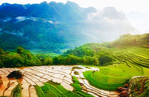 Mai Chau - Pu Luong (50km - 1h30 En Voiture) (Pd ; Déj)