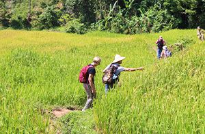 Hanoi - Mai Chau (160km - 3h30 En Voiture) (Pd ; Déj ; Dîner)