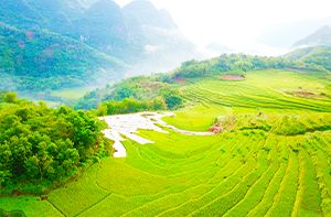Mai Chau - Pu Luong (50km - 1h30 En Voiture) (Pd ; Déj)