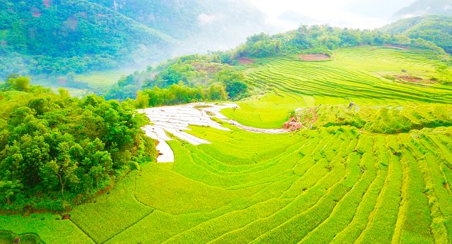 Pu Luong Réserve Naturelle du Vietnam