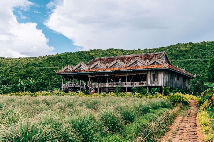 Découvrir le fameux poivre de Kampot à La Plantation