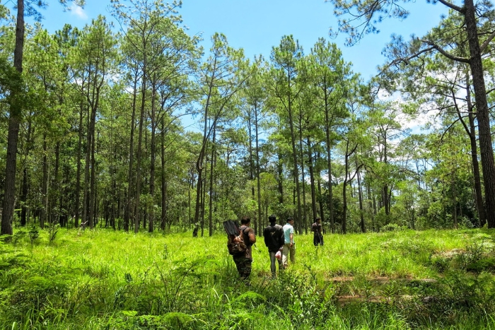 L'itinéraire 10 jours Cambodge continue avec une montée vers le parc national de Kirirom