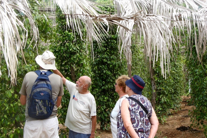 Visiter plantation de poivre de Kampot dans l'itinéraire Cambodge 3 semaines