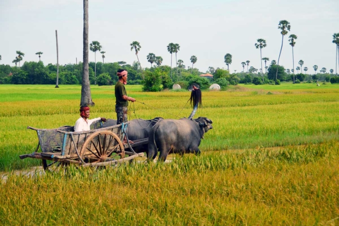 Kampong Chhnang dans mon circuit 1 semaine au Cambodge