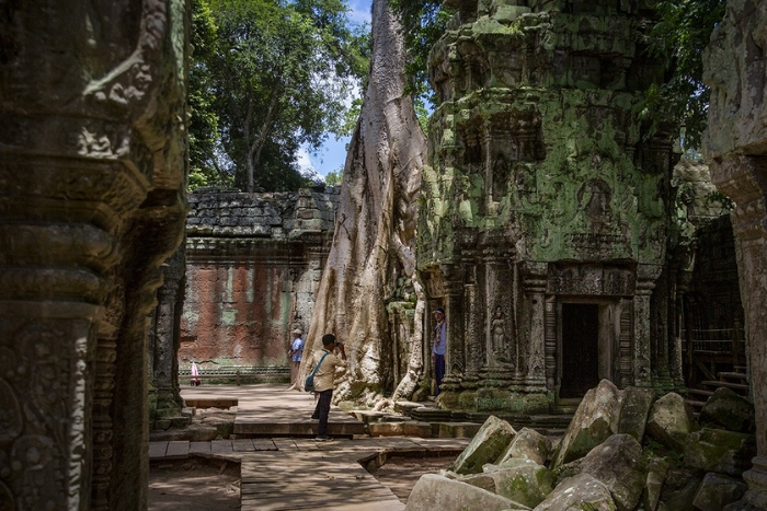 emple de Ta Prohm : Le meilleur temple de jungle de Tomb Raider au Cambodge