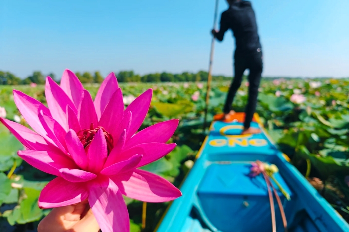 Promenade en barque sur un champ de lotus