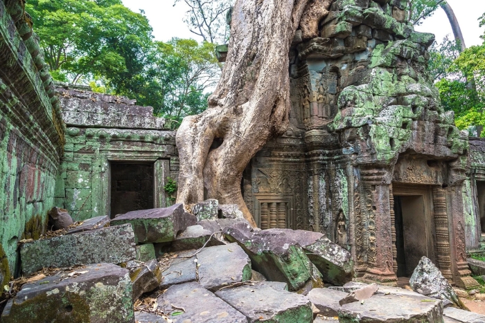 Temple de Ta Prohm à Siem Reap Cambodge