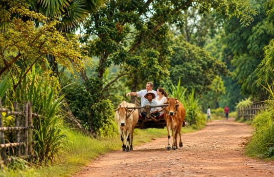 Agrotourisme Au Cambodge - Guide Complet Et Meilleures Expériences