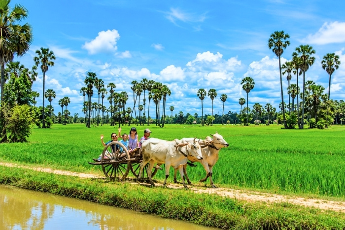 Circuit agricole au Cambodge - Immersion dans le quotidien des campagnes