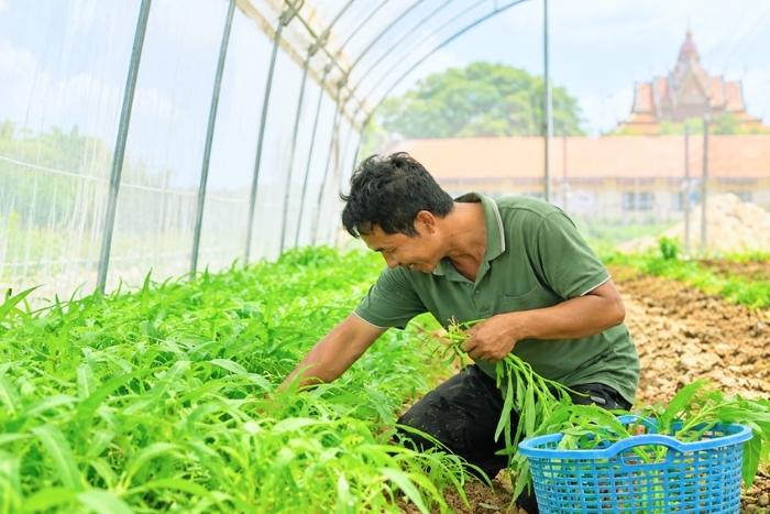 Découvrir l’agriculture biologique dans les fermes du Cambodge