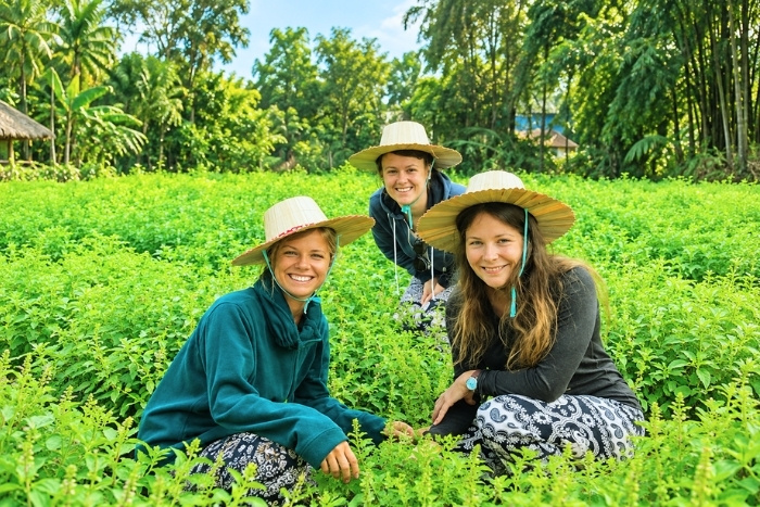 Expériences rurales au Cambodge, un voyage fait de nature et de rencontres