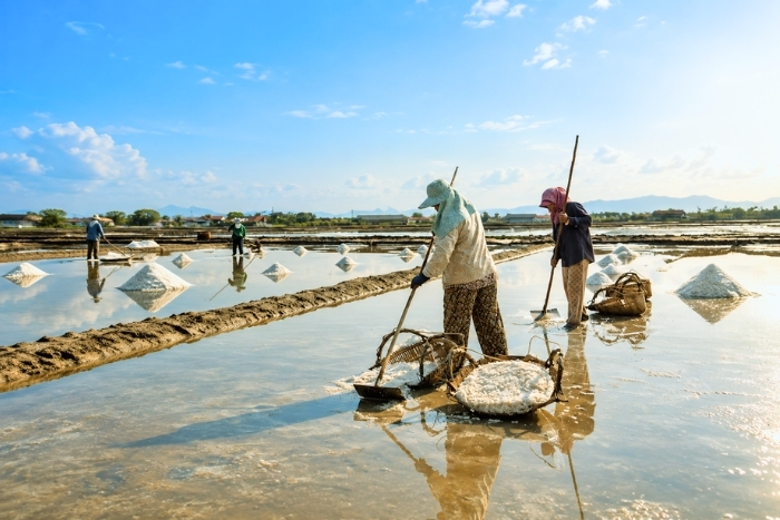 Au cœur des marais salants de Kampot