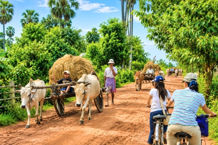Meilleure période pour l’agrotourisme au Cambodge