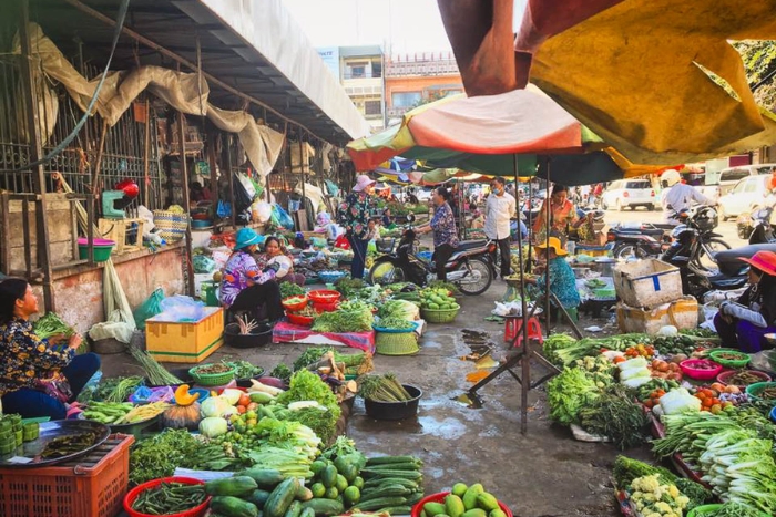 Immersion dans la vie locale au marché de Battambang dans l'tinéraire Battambang 5 jours