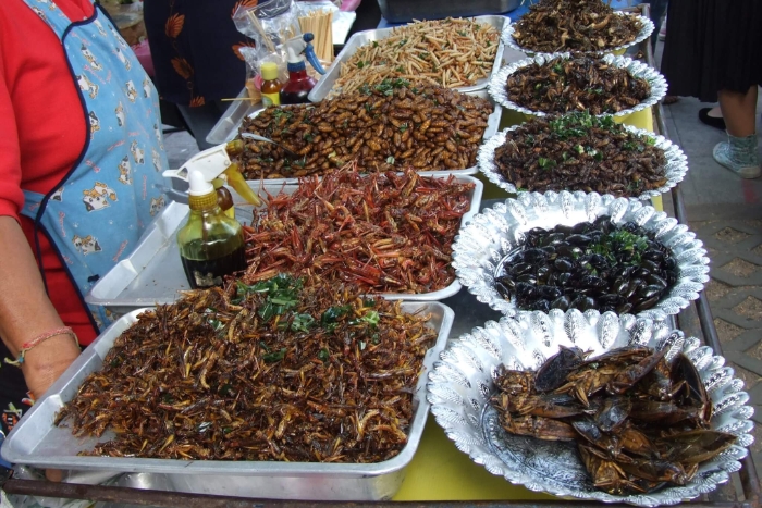 Découvrez une des curiosités culinaires les plus fascinantes du Cambodge : les insectes frits à Battambang