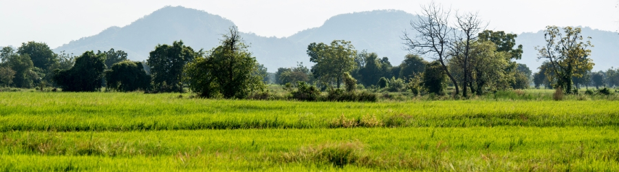 Où faire du trek à Battambang ?