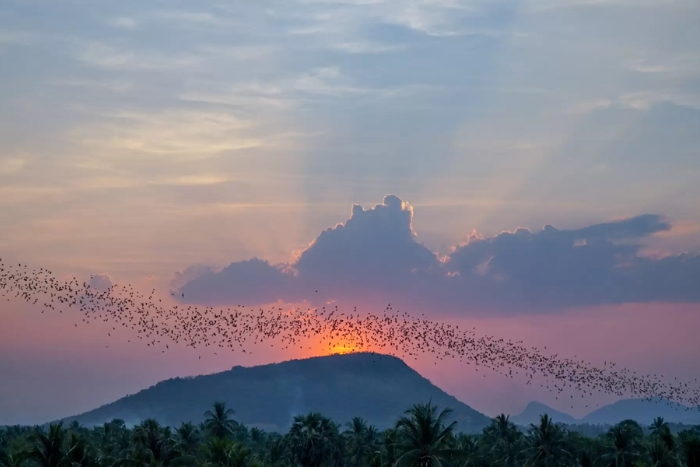 Le coucher de soleil à la Bat Cave est un autre moment inoubliable d’un voyage en famille au Cambodge
