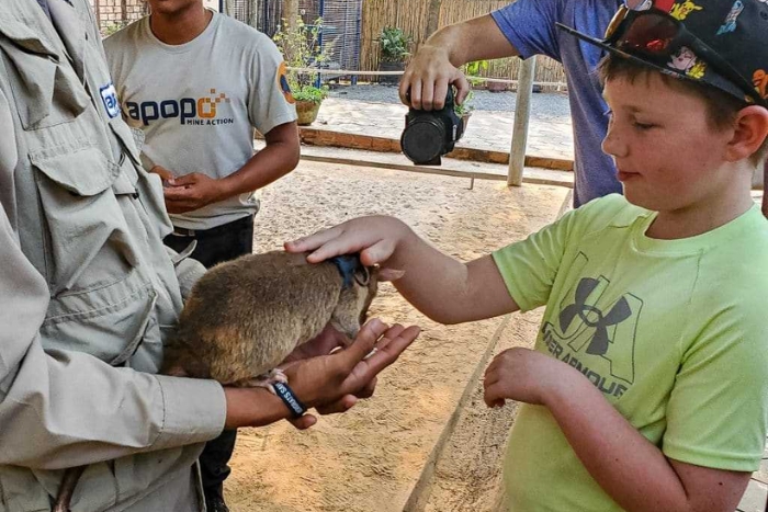 APOPO Visitor Center à Angkor