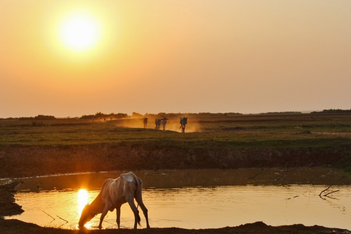 Où partir au soleil en février ? Battambang est un bon choix