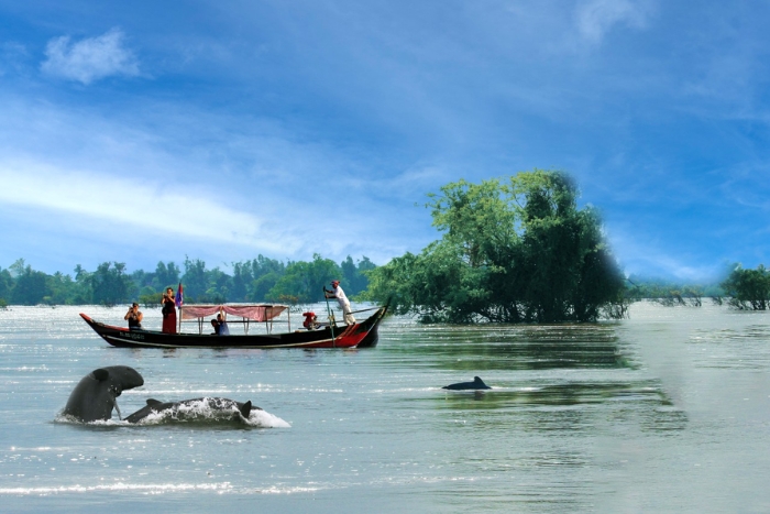 Observation des dauphins d'eau douce, une nouvelle expérience dans l'est du Cambodge