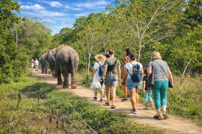 Enfants observant les éléphants au Kulen Elephant Forest au Cambodge