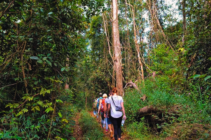 Exploration de Mondulkiri – La meilleure période pour le trekking