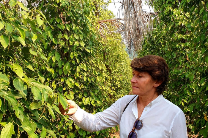 Visiter les plantations de poivre avec vos enfants