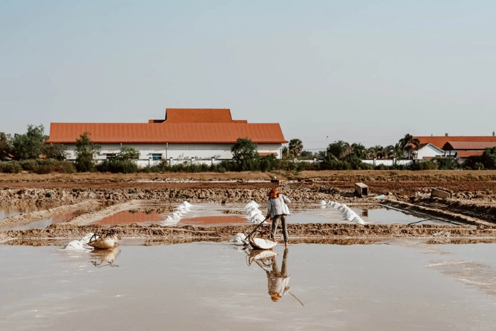 Découvrir les marais salants à Kampot