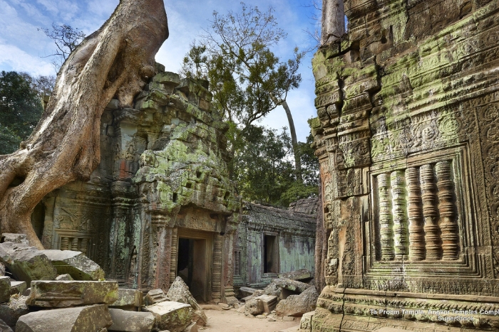 Ta Prohm, un temple rendu célèbre par le film "Tomb Raider"