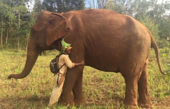 Que Faire Au Cambodge ? Top 10 Meilleures Choses à Faire à Mondulkiri