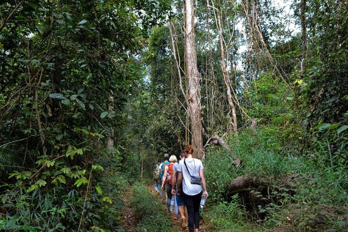 Forêt protégée de Mondulkiri