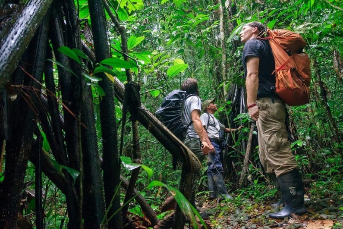 Jungle à Mondulkiri 