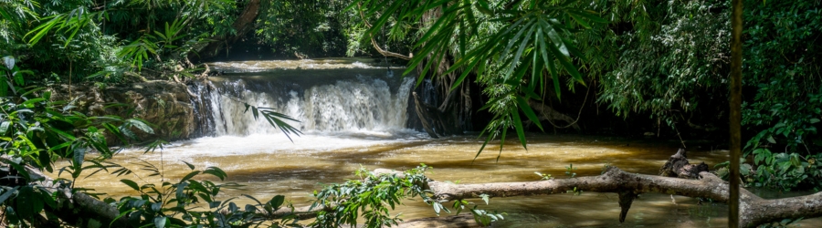 Top 10 meilleures choses à faire à Mondulkiri