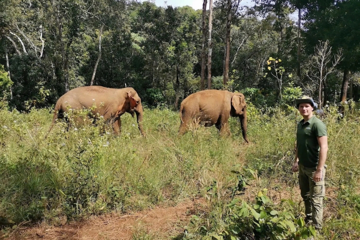 Que faire à Mondulkiri ? Visitez le Mondulkiri Project pour une marche inoubliable dans la jungle