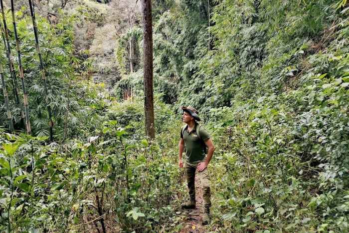 Trekking à Mondulkiri : une aventure qu’on ressent plus qu’on ne la regarde