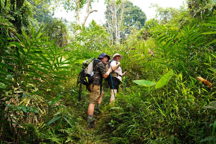 Randonnée en pleine jungle de Mondulkiri, saison sèche