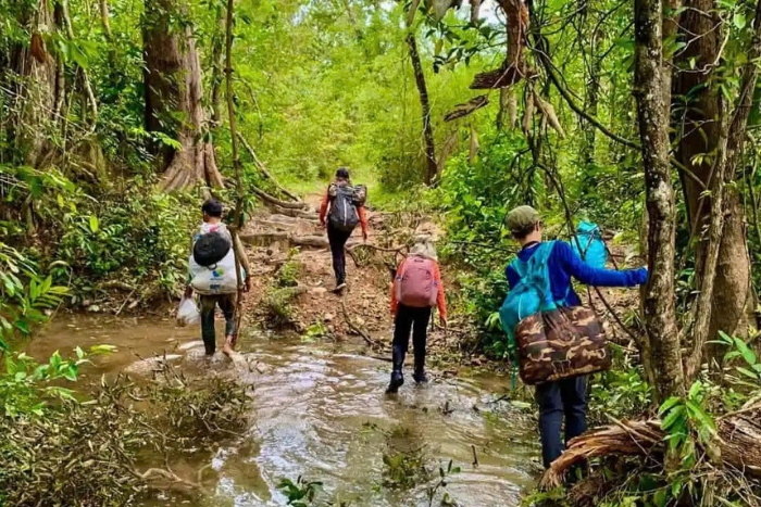 Randonnée dans la jungle tropicale
