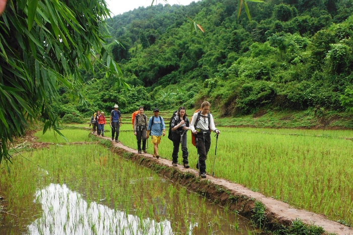Quel itinéraire choisir pour un trek nature au Cambodge en avril ?