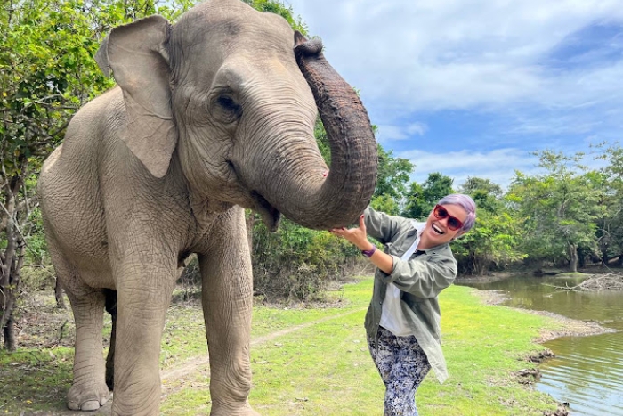 Arrivez au Refuge de Phnom Tamao pendant 3 jours à Phnom Penh par voyage en famille 