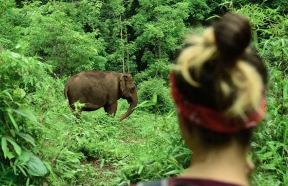 Que Faire Au Cambodge ? Top 20 Choses à Faire Au Cambodge