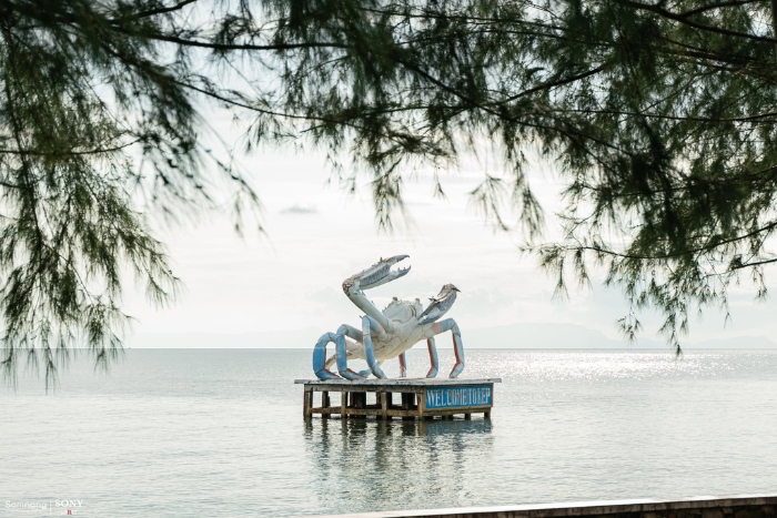 Que faire &agrave; Kep ? Visiter le march&eacute; aux crabes